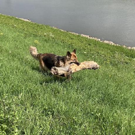 Jaap Marcus 🇳🇱